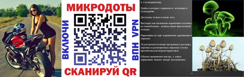 где можно купить наркотик  Пушкино  Псилоцибиновые грибы Psilocybe 