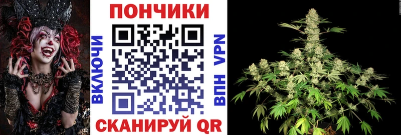 мега онион  что такое   Пушкино  Марихуана White Widow 